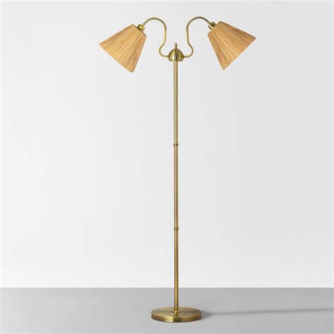 House of Hampton® Keithin 66'' Twin Arm Gooseneck Floor Lamp with ...