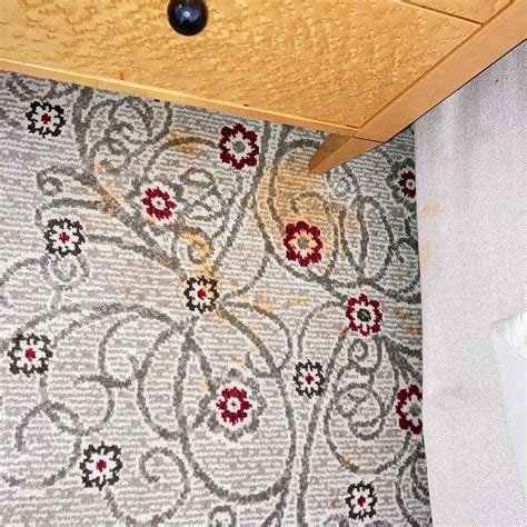 INTERCONTINENTAL VIENNA BY IHG - Hotel Reviews, Photos, Rate Comparison ...