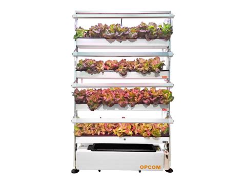 Image result for Opcom Farm