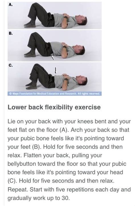 Image result for Back Flexibility