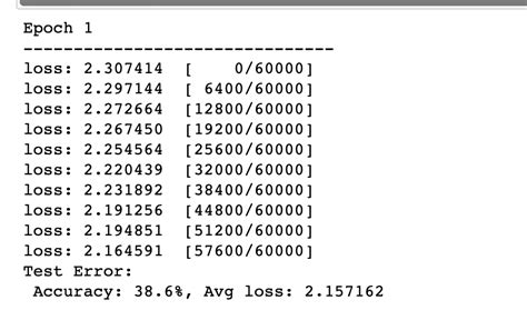 Using Pytorch Tutorial 的图像结果