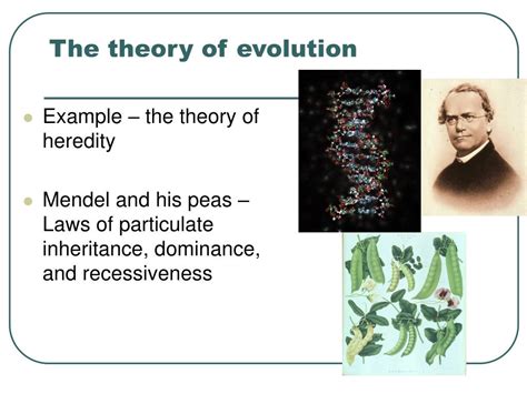 Evolution Theory Explained 的图像结果