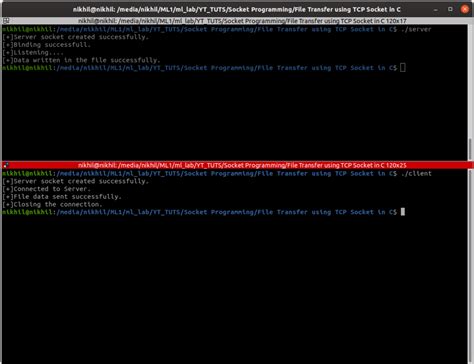 File Transfer Using TCP Connection C 的图像结果