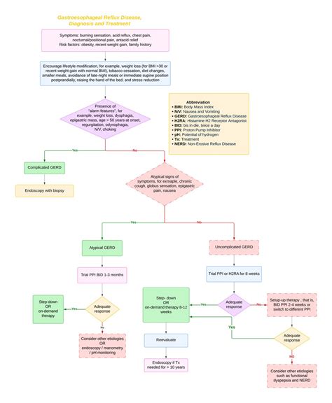 Gastroesophageal Reflux Disease: Diagnosis and Treatment - The Doctors Platform