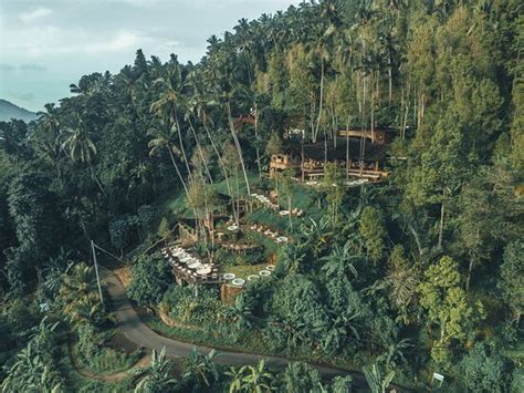 A Perfect Spot in Sidemen - Reviews, Photos - Koli Koli - Tripadvisor