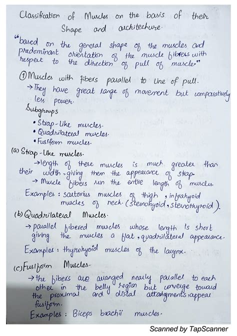 Image result for Muscle Structure Classifications