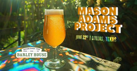 Mason Adams Project brings Hillbilly-Hippie-Funk to The Barley House ...