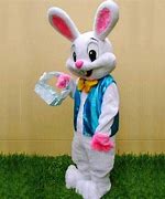 Image result for Vintage Easter Bunny Costume