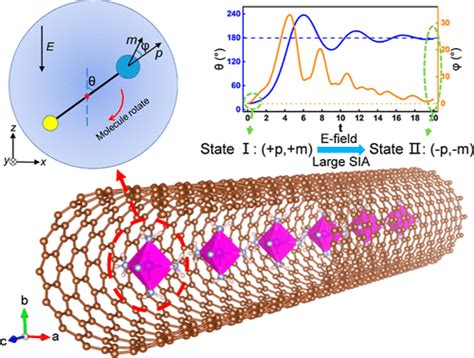 Multiferroics 的图像结果