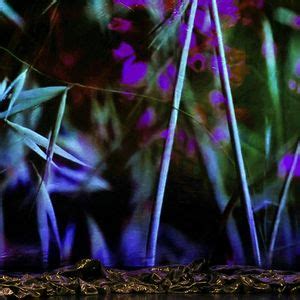 Joanne Leighton - Le chemin du wombat au nez poilu, Manège, scène ...