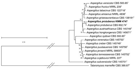 Bioactive Polyketides from the Natural Complex of the Sea Urchin ...
