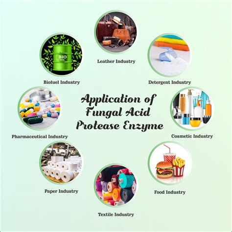 Buy Fungal Acid Protease Enzyme Powder-125GM at Best Price | Online ...