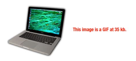 Image Optimization: 10 Must Know Tips - Image SEO - Shopify India