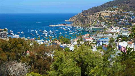 The 10 Best Hotels in Catalina Island, California $115 for 2019 | Expedia