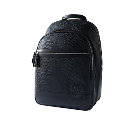 Image result for Alps Internal Frame Backpack