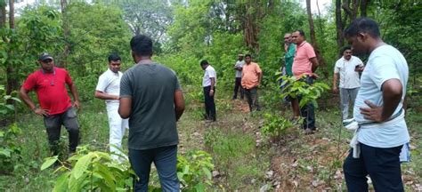 Decomposed hanging body of missing Bolangir man found in Nuapada forest