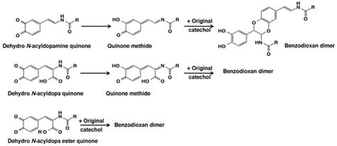 Chemical Reactivities of ortho-Quinones Produced in Living Organisms ...