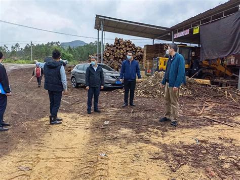 崇左凭祥市副市长率队开展春节前木材加工厂安全生产检查工作-中国木业网