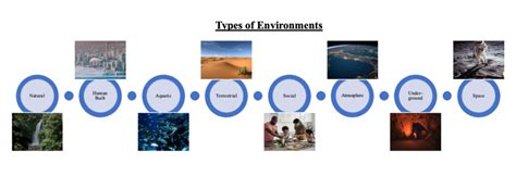 环境 的图像结果