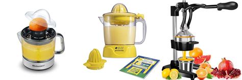 Lemonade Juicer 的图像结果