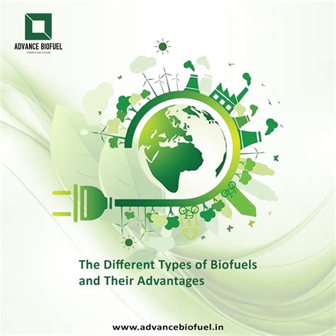Exploring Biofuels: Types, Advantages, and Sustainable Energy Solutions