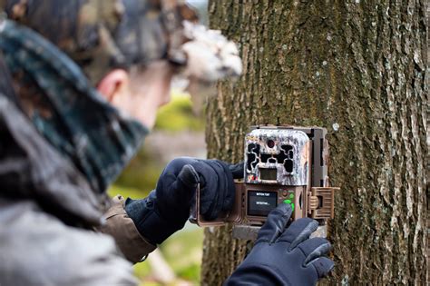 Mini 600 Trail Camera Set Up On This Computer 的图像结果