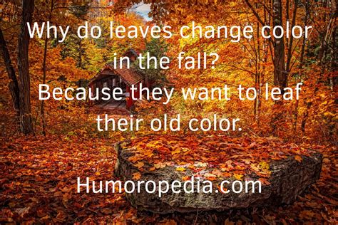 Fall Jokes: 19 Funny Autumn Jokes For Kids All Adults Will Love