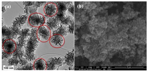 Evaluating the Effect of Varying the Metal Precursor in the Colloidal ...