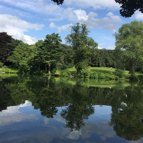 MOSELEY PARK AND POOL Guide (2026) All You Need to Know BEFORE You Go ...