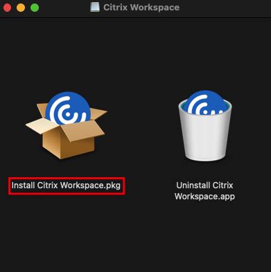 Image result for Self-Installation Citrix Workspace