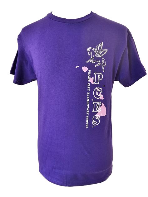 Pearl City Elementary – The Custom Company