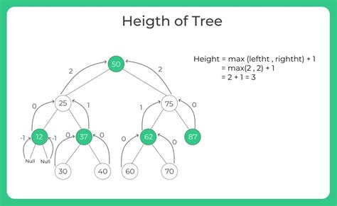 Java Recursion Finding Height of Binary Tree 的图像结果