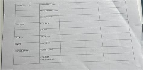 Image result for Endocrine System Table