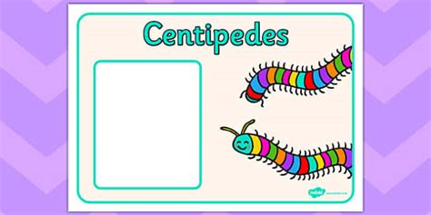 👉 Centipedes Group Signs (teacher made) - Twinkl