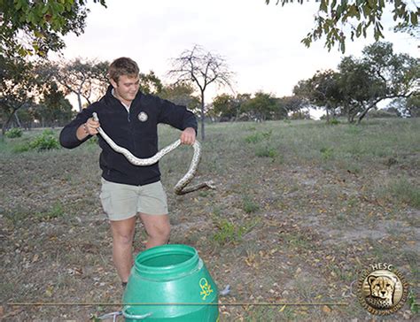 Largest Rock Python 的图像结果