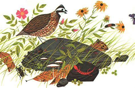 Biology Books for Kids 的图像结果