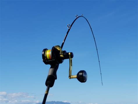 Fishing Rod And Reel Guide at Rita Skelley blog
