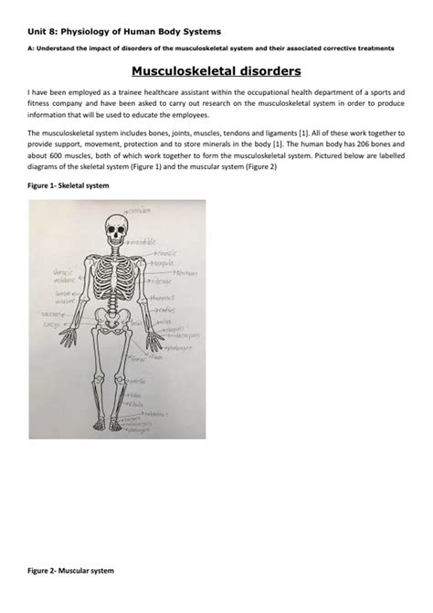 BTEC Applied Science Unit 8A - Musculoskeletal system (Distinction ...