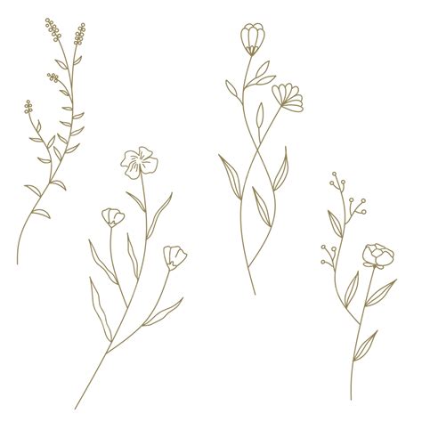 Free Download Vector Flower Line Art at Isabel Cremean blog
