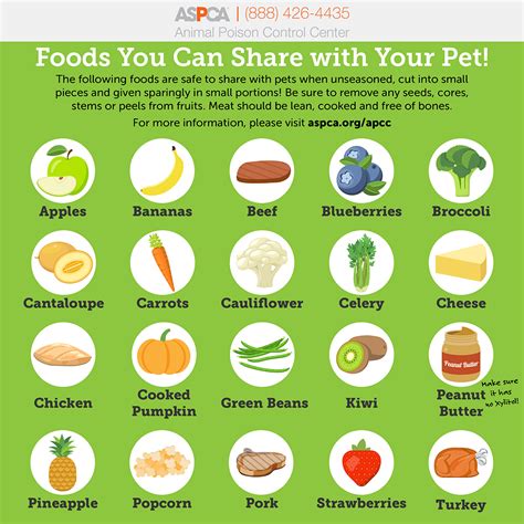 What Fruit Can You Give Dogs
