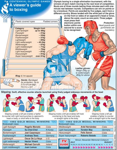 BOXING Techniques infographic