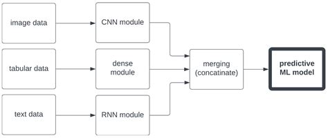 Predicting the Rectal Temperature of Dairy Cows Using Infrared ...