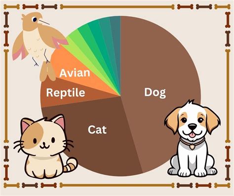 Image result for Pets Explained