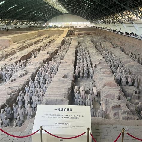Terracotta Army 的图像结果