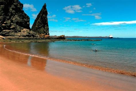 Galapagos Island-Hopping 8-Day Boat and Land Tour of 4 Islands 2024 ...