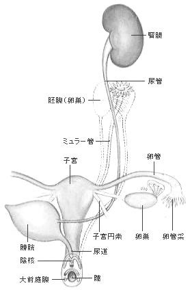 Image result for Virtual Science Lab