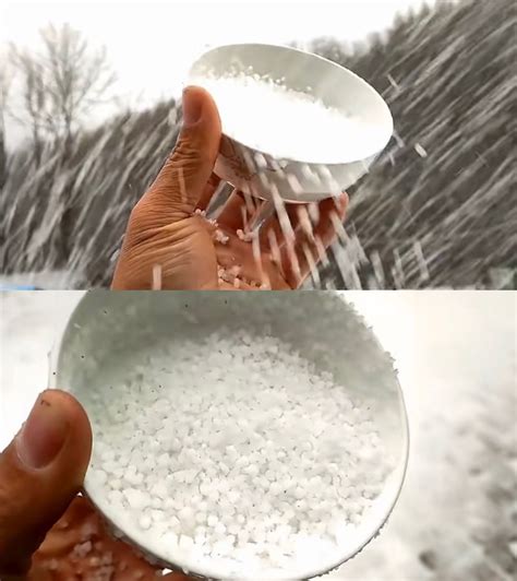 天上“撒盐下米”，雪、冰粒、霰和冰雹怎么区分？_新浪新闻
