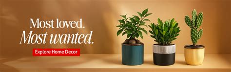 Claymistry: Online Ceramic Shop for Handcrafted Artisanal Products