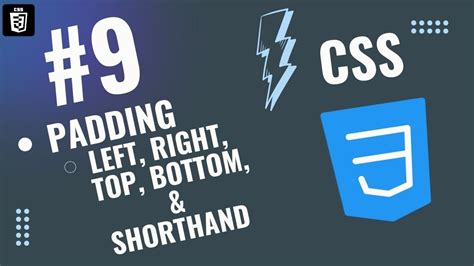 Image result for Padding CSS Top Bottom Left Right