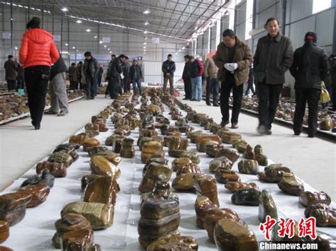 中国首个奇石公盘交易会在中华石都柳州开盘(图)-搜狐新闻